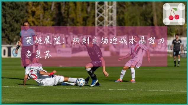 英超展望：热刺主场迎战水晶宫力争复苏