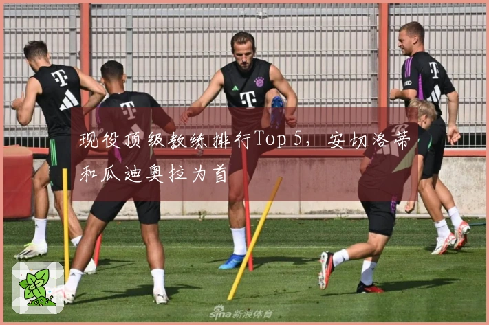 现役顶级教练排行Top 5，安切洛蒂和瓜迪奥拉为首