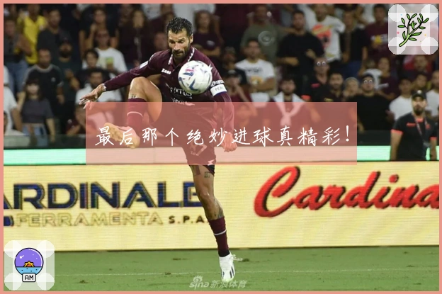 最后那个绝妙进球真精彩！